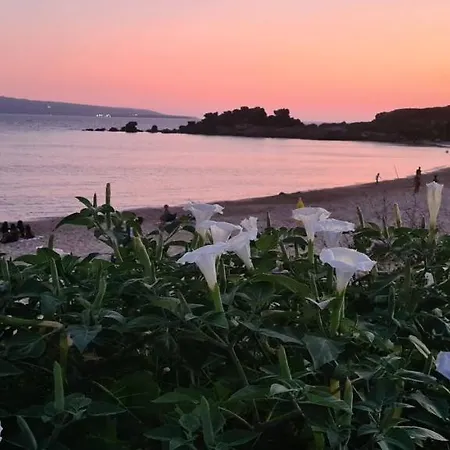 A 2 Passi Dalla Apartamento